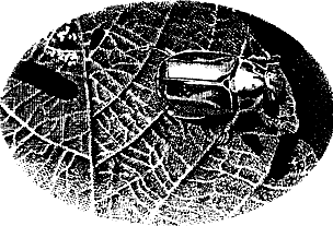 vulchi_brat-014.png vulchi_brat-014.png