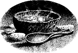 vulchi_brat-029.png vulchi_brat-029.png