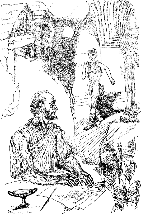 peperudi.png peperudi.png