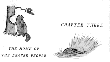 chapter03.png chapter03.png