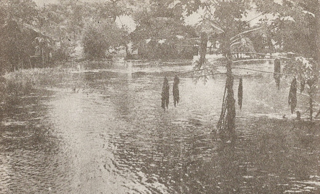 Наводненият лагер navodnenie.jpg