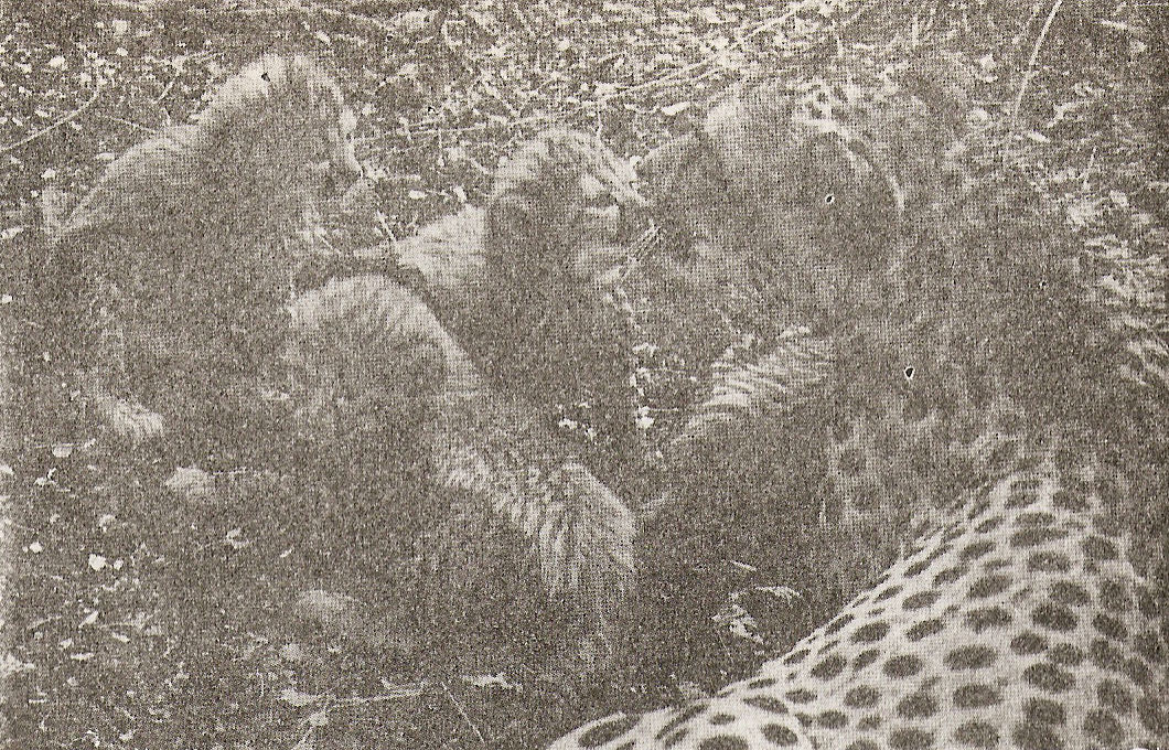 … на 23 дни malkite_23d.jpg