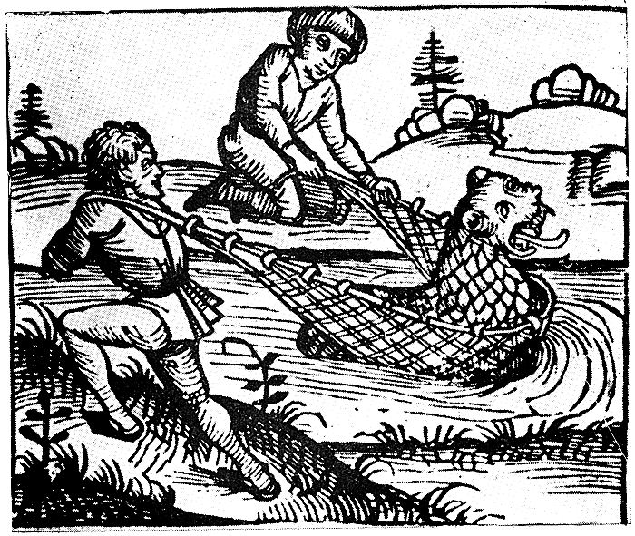 Хващане на „морски лъв“ Хващане на „морски лъв“