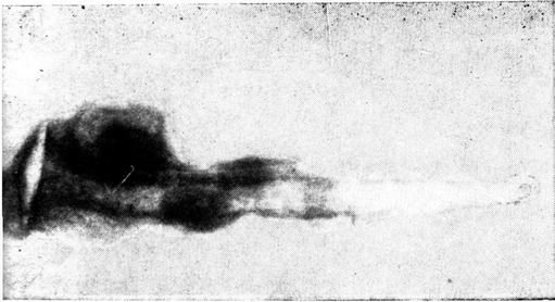 kotva_1.png kotva_1.png