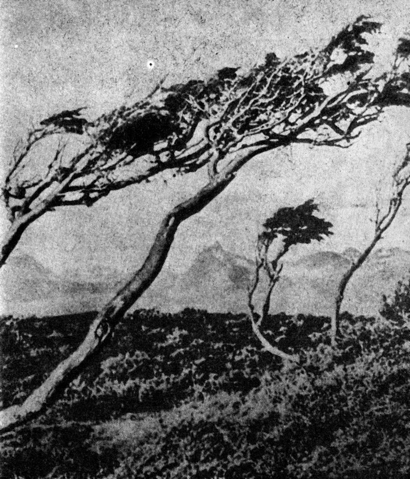 Пейзаж на Огнена земя 3204_ognena_zemia.png