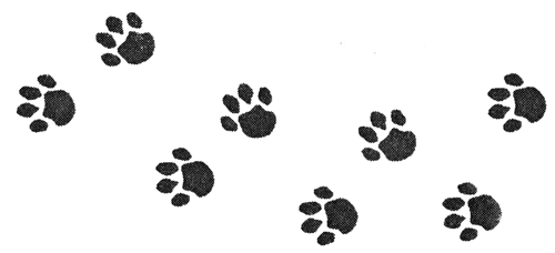 pawtracks_00.png pawtracks_00.png