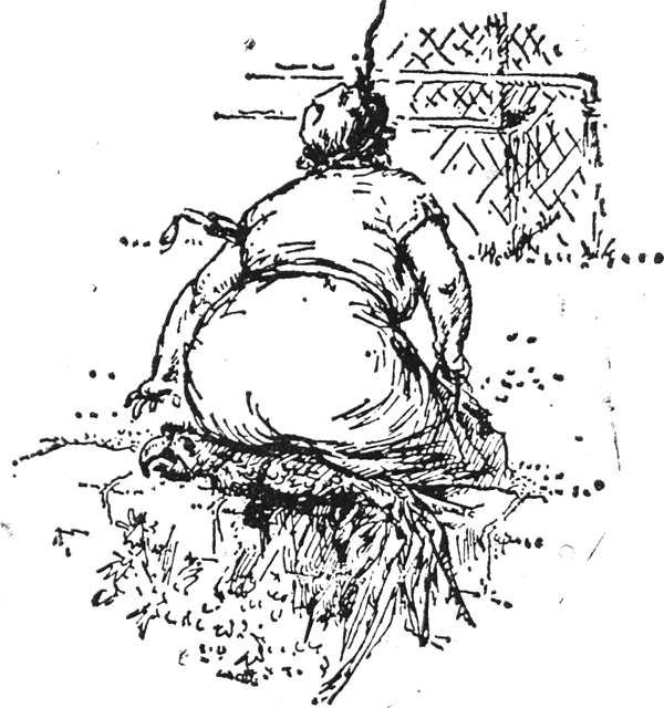 colobus_8.png colobus_8.png