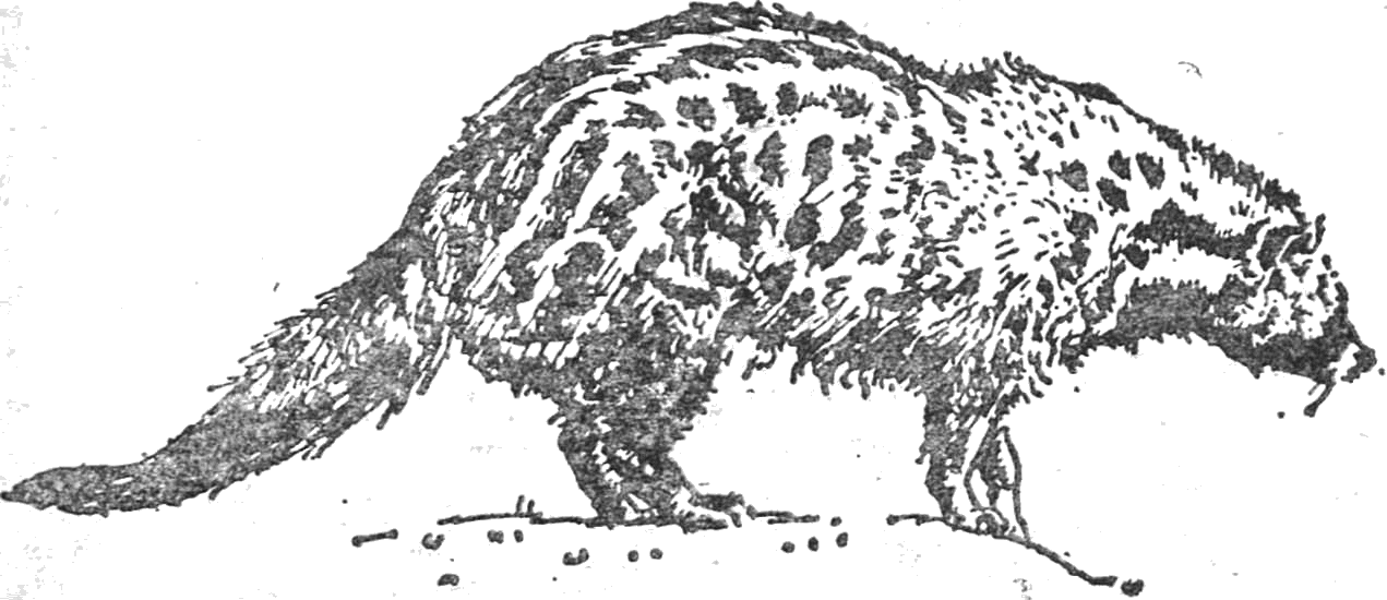 colobus_9.png colobus_9.png