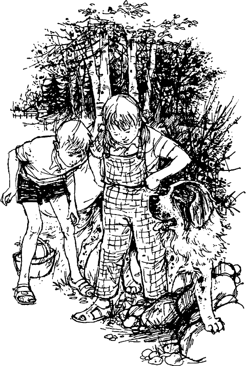 lisica.png lisica.png