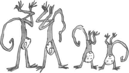 maimuni.png maimuni.png