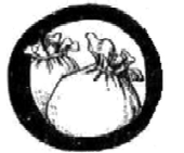 Късметът и дърварят Късметът и дърварят