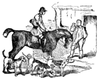 Лисица и дървар Лисица и дървар