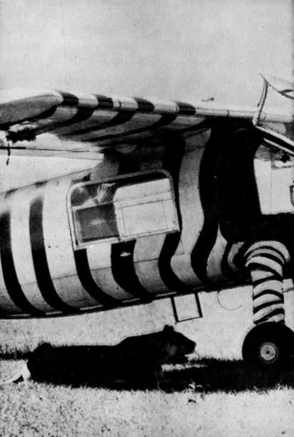 Лъвовете на Серенгети съвсем не се страхуват от автомобили и самолети. luvovete.jpg