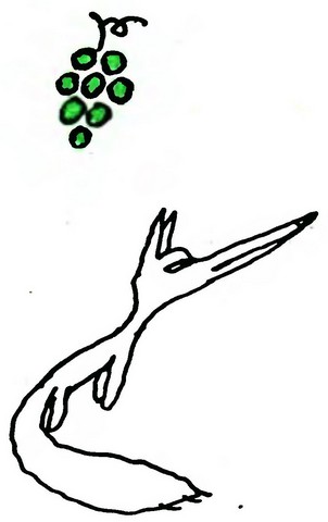 grozde.jpg grozde.jpg