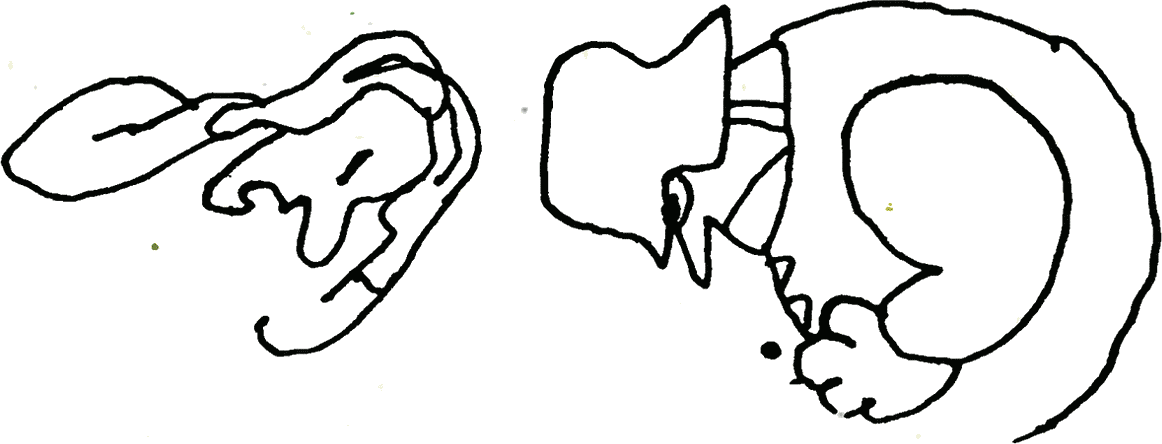 poklon.png poklon.png