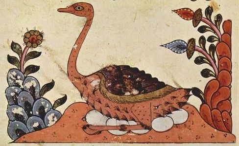 Илюстрация: С. Малер (Syrischer Maler, 1335) Жената от щраусово яйце