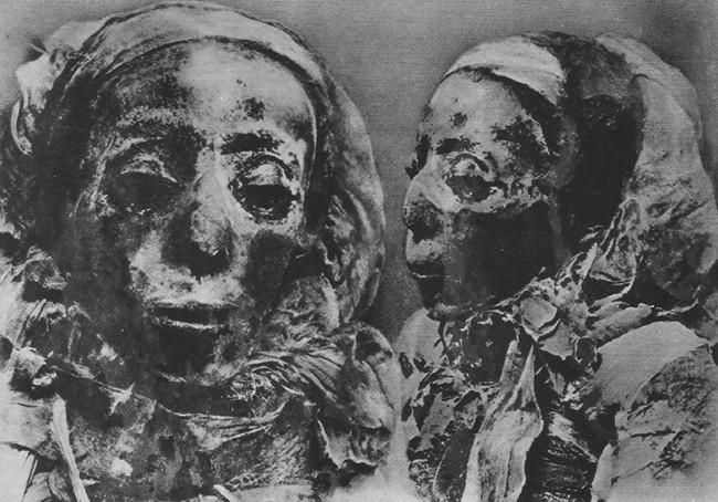 38. и 39. Глава на мумията на принцеса Нситанебашру, жрица на Амон (фас и профил) glava_na_mumiyata_na_zhritsa_na_amon.jpg