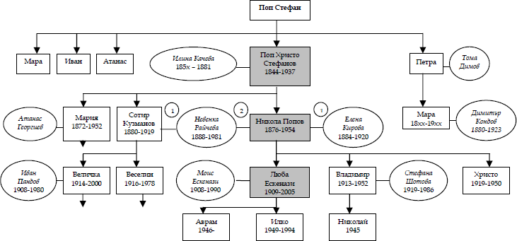 rodoslovno_darvo.png rodoslovno_darvo.png