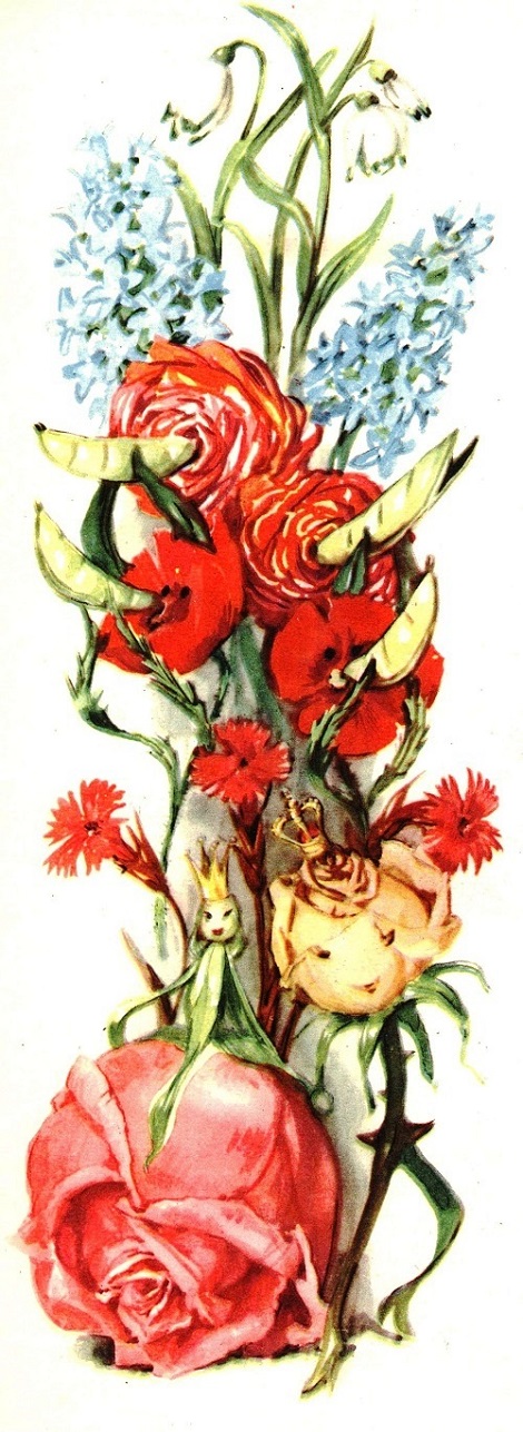 19_kralski.jpg 19_kralski.jpg