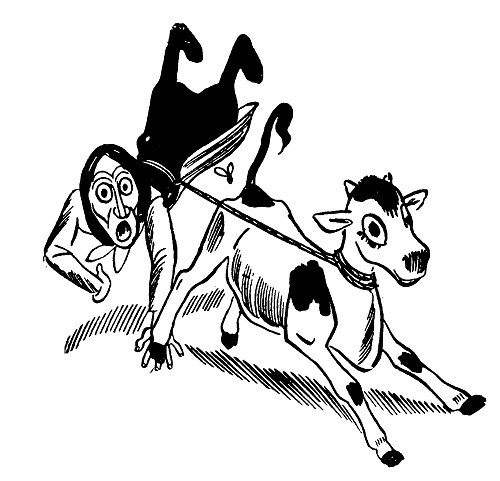 29_tele.jpg 29_tele.jpg
