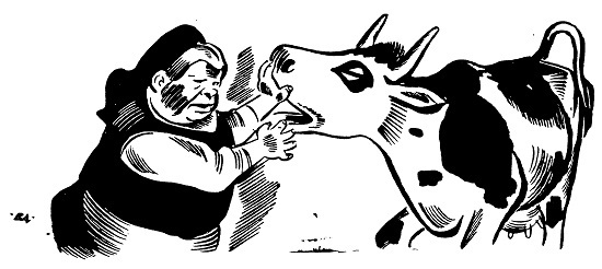 30_proicha.jpg 30_proicha.jpg
