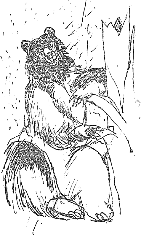 mechok_v_malinaka.png mechok_v_malinaka.png