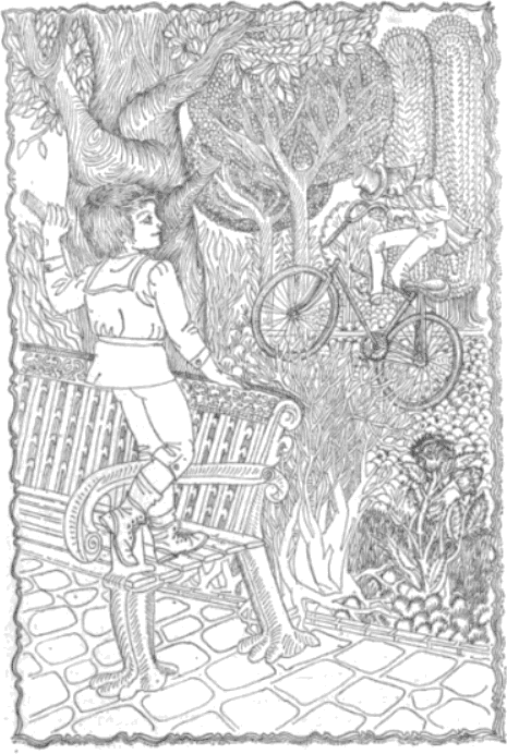 kolelo.png kolelo.png