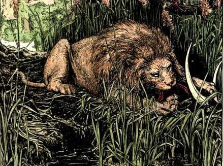 Илюстрация: Джон Д. Батен (John D. Batten, 1892) Лъвът, чакалът и човекът