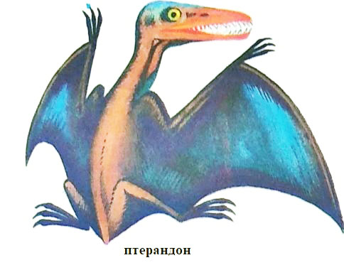 pterandon.jpg pterandon.jpg