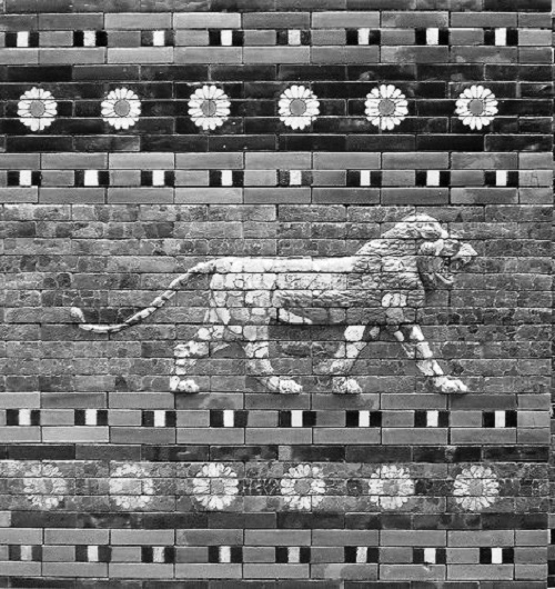 Лъв от Ищарската порта. Едно от многото свирепи животни, носещи се през „световното чудо“ на Навуходоносор. 31_ivestarska.jpg