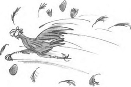 kokoshka.jpg kokoshka.jpg