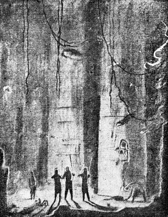 Ние минахме през огромна зала… marakotovata_bezdna_4.png