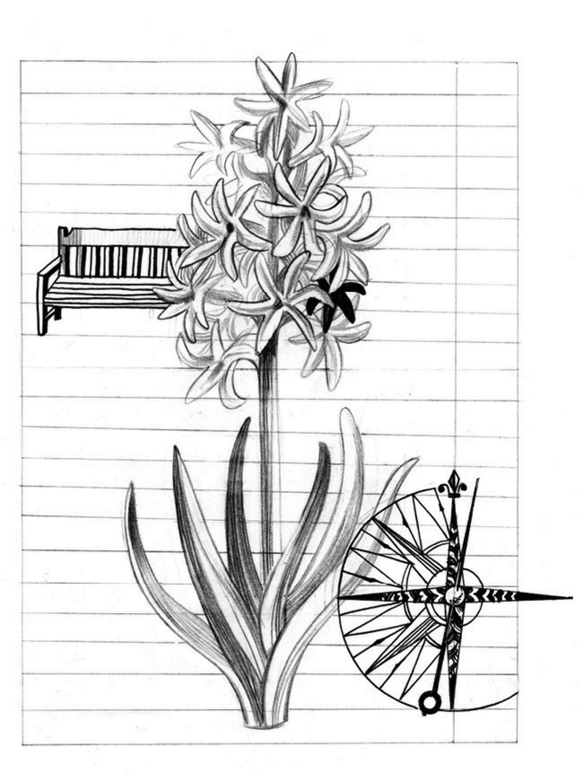 rastenie.jpg rastenie.jpg